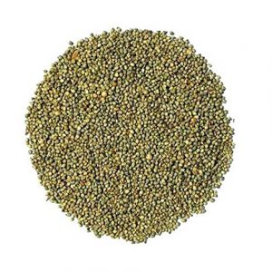 GrowVeg International